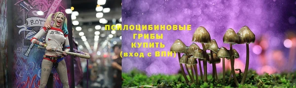spice Богданович