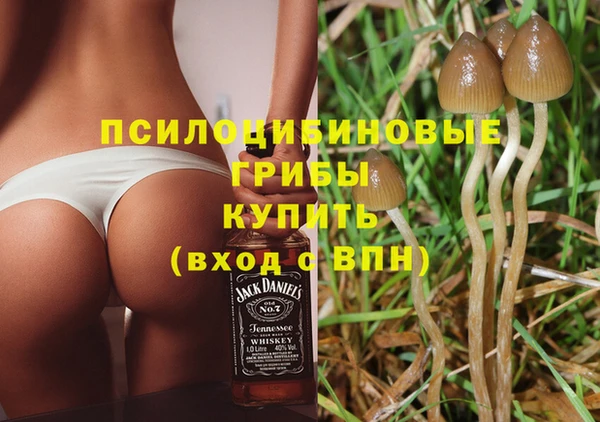 spice Богданович