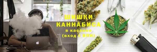 spice Богданович