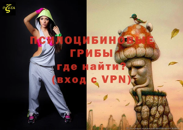 Альфа ПВП Пересвет