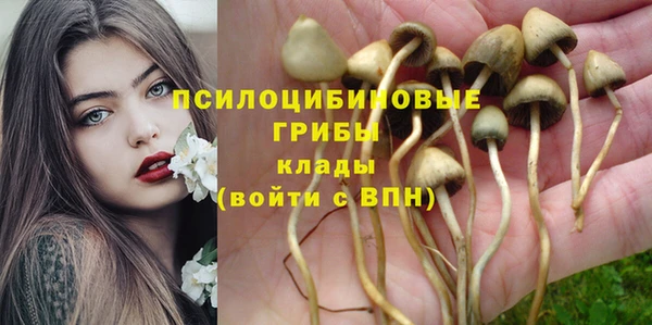 соль курить ск Богородицк