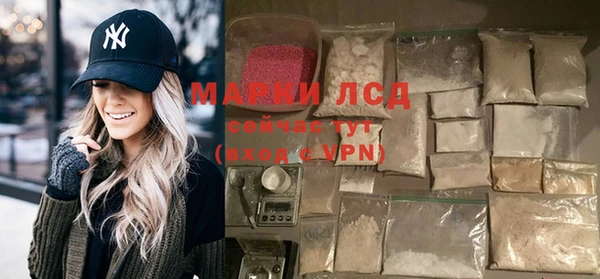 spice Богданович