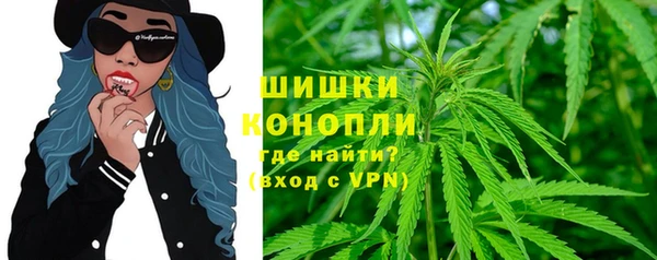 spice Богданович