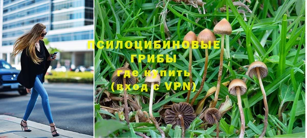 соль курить ск Богородицк