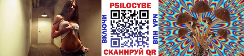 цены наркотик  Малая Вишера  гидра ONION  Псилоцибиновые грибы Psilocybe 